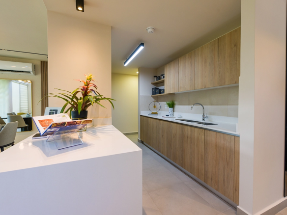 imaterra alere townhomes 011