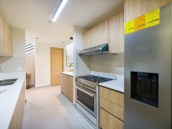 imaterra alere townhomes 04